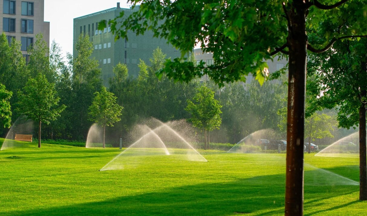 Revitalize Your Yard: A Comprehensive Guide to Renewing Lawn Health